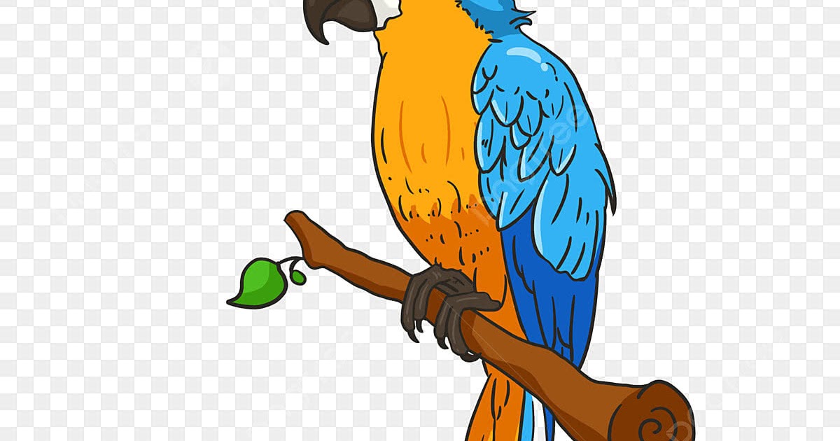 Kumpulan gambar untuk Belajar mewarnai: Gambar Burung