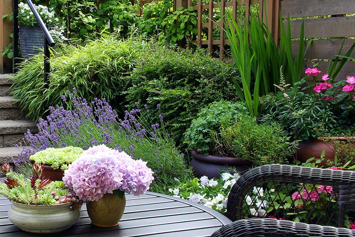 Contemporary Garden Design For Small Gardens | See More...