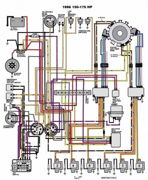 Evinrude Wiring Diagram - BRANDYWINEBOUTIQUES