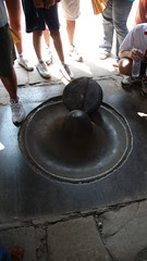 lead test in position