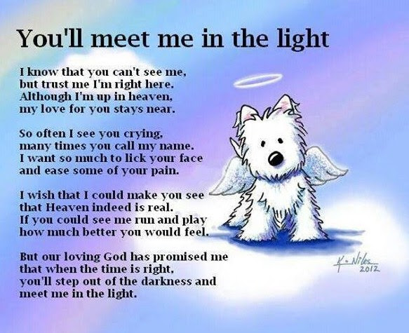12 Cute Dog Quotes for Dog Lovers with Funny Images 12 Cute Dog Quotes for Dog Lovers with Funny Images