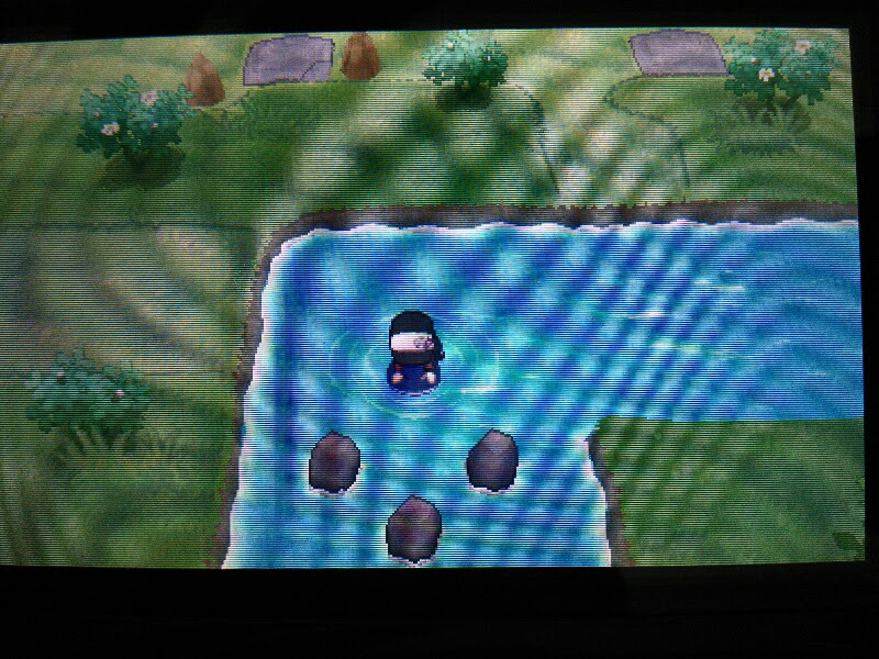 Xy ミニリュウ 人気のある画像を投稿する