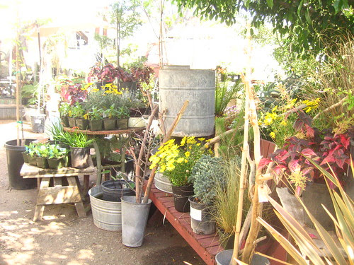 Spring display