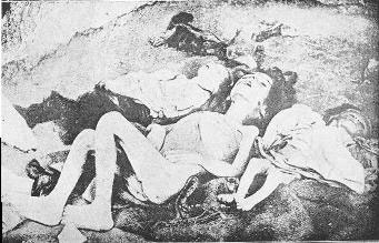 http://www.gwu.edu/~erpapers/humanrights/timeline/armenian-genocide.jpg