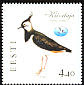 Northern Lapwing Vanellus vanellus Northern Lapwing Vanellus vanellus