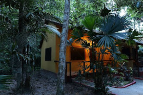 Amazon Eco Park Jungle Lodge