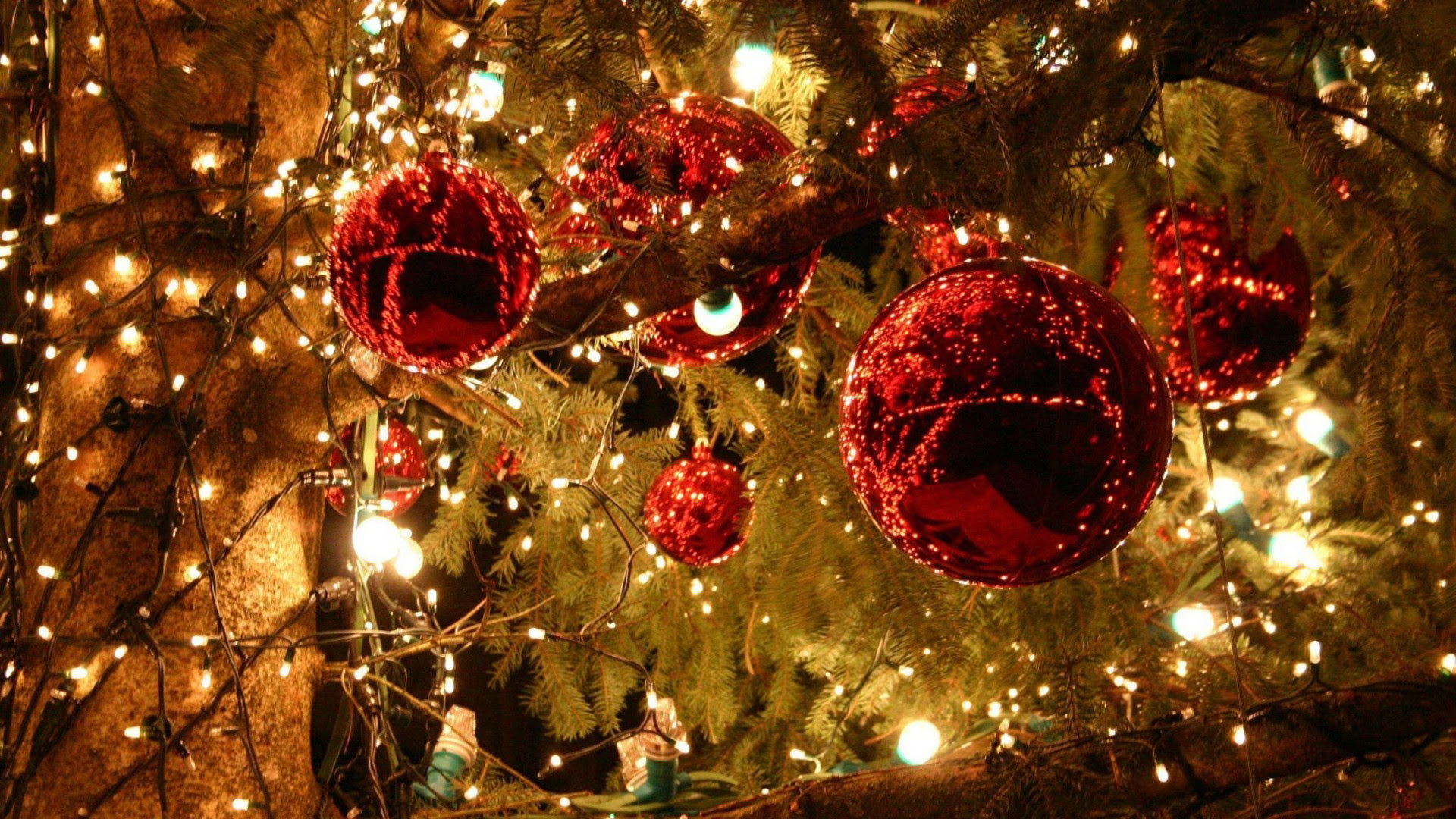 55+ 1080p 1920x1080 Merry Christmas Hd Background - l2sanpiero