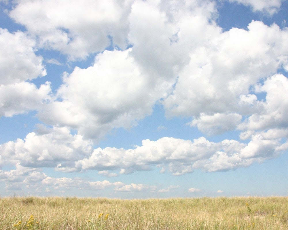 Meadow 8 x 10 Photograph Art Print Landscape Fields Summer Clouds Sky Grass - scarlettdesign Meadow 8 x 10 Photograph Art Print Landscape Fields Summer Clouds Sky Grass - scarlettdesign