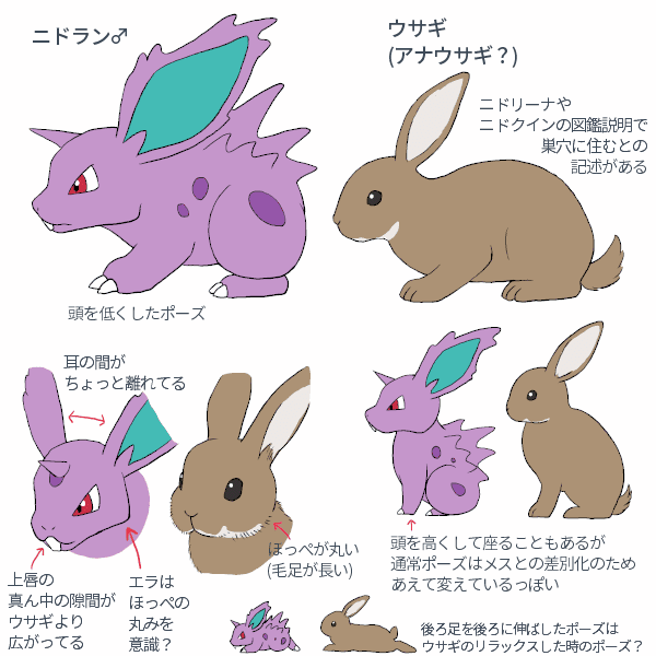 新着ポケモン うさぎ すべてのぬりえ