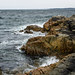 Wet Coast Weather