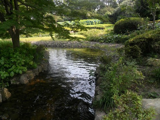 Photos of Fukuoka City Zoological GArden, Fukuoka