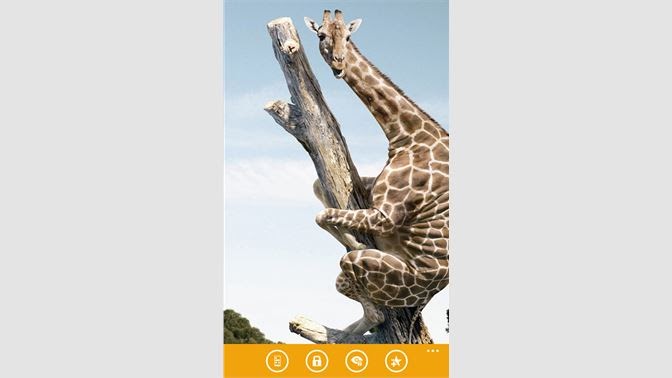 Teams Hintergründe Lustig : Lustige Hintergrund Bilder Fur Teams Zoom