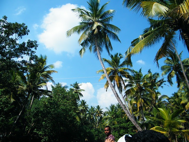 Rural Kollam, Kerala