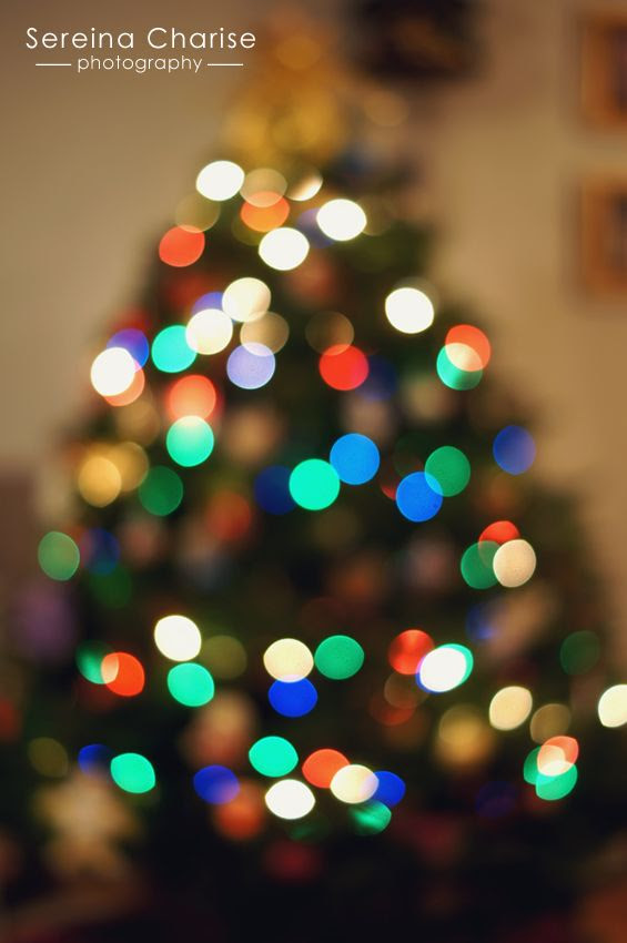 Christmas Tree Bokeh