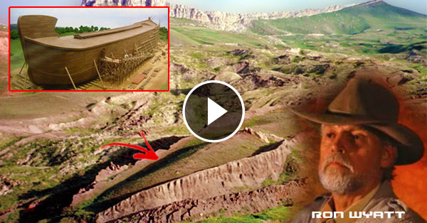 Bible's Authenticity Proven By An Adventurer Which Unearthed The Noah's ...