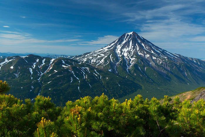 5508709_large (700x466, 540Kb)