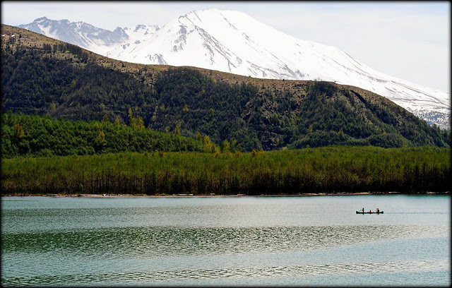 a family canoeing in Coldwater Lake - Mt St Helens