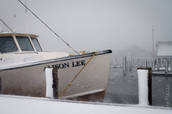 Blizzard 2013, Edgartown