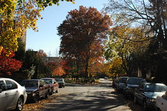 Buckingham Road and Flatbush Malls