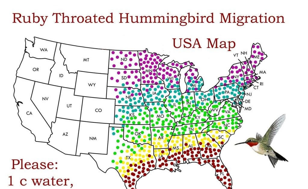 Hummingbird Fall Migration Map 2017 Maps For You