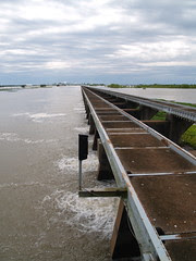P4122555.JPG