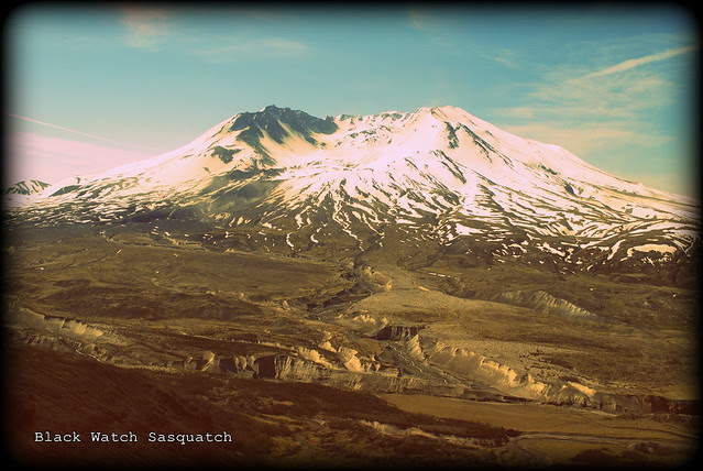 Mt. St. Helens