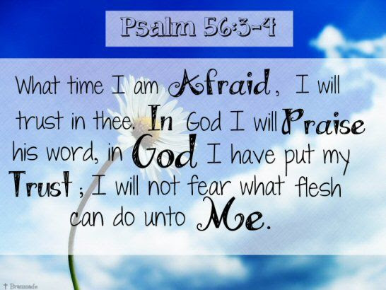 "What time I am afraid, I will trust in thee.  In God I will praise his word, in God I have put my trust; I will not fear what flesh can do unto me." ~ Psalm 56:3-4