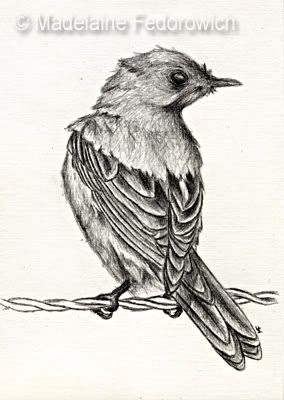 Blue Bird