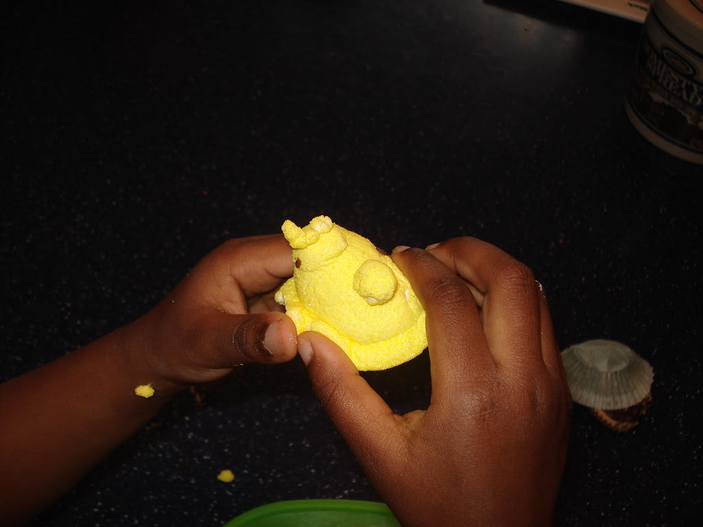 Things to do with a Peep