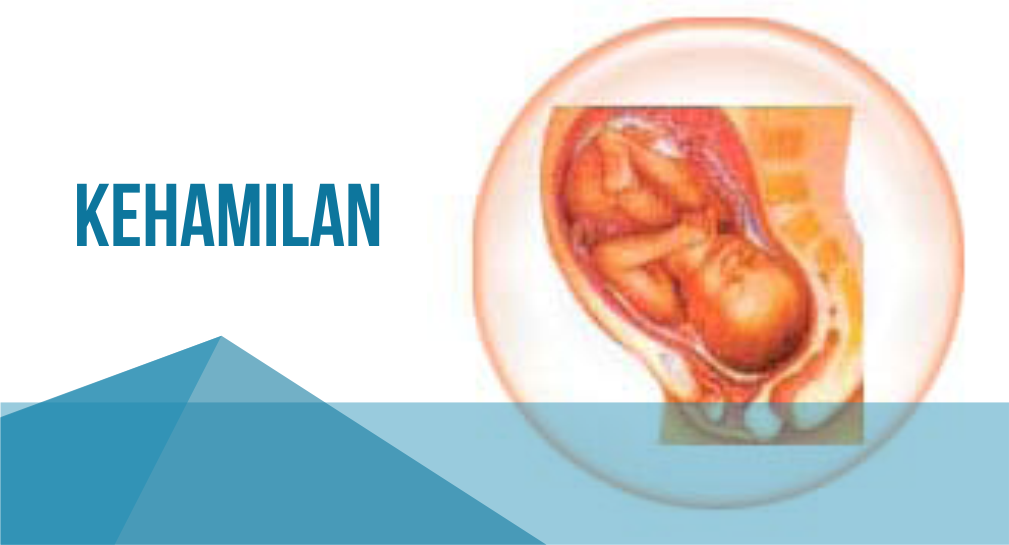 Proses Pembuahan dan Kehamilan kehamilann