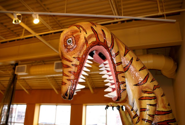 T Rex at Wonderlab Science Museum