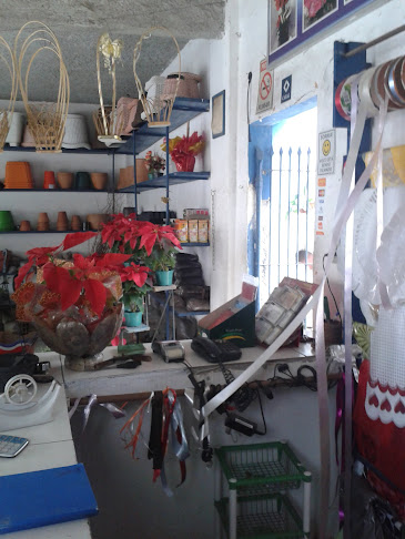 Avaliações sobre Chácara Celeste Horto e Floricultura em Salvador - Floricultura