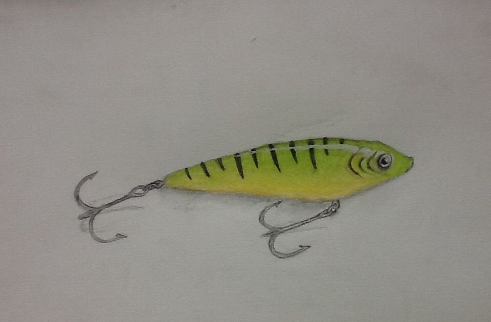 Fishing Bait Drawing - Fishing Info