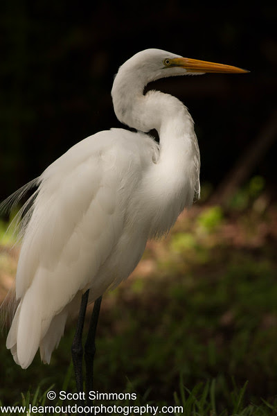 Photo & Video Sharing by SmugMug Photo & Video Sharing by SmugMug