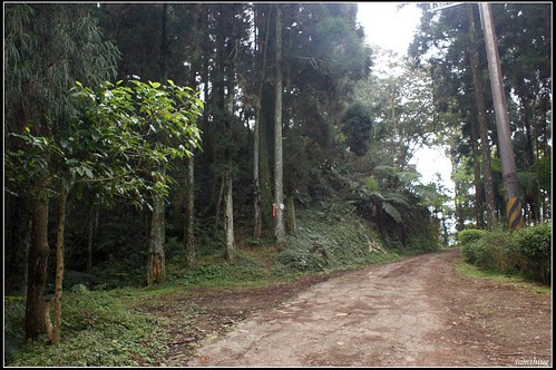 DSC04175