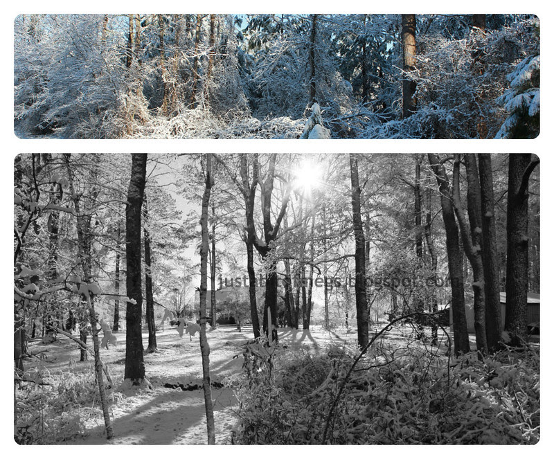 snow4