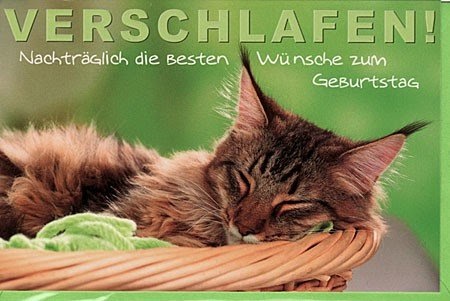 Glückwunsch Zum Geburtstag Nachträglich Englisch