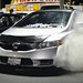 Bear Smokin'