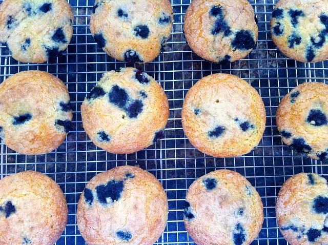 Homemade Blueberry Muffins From Scratch