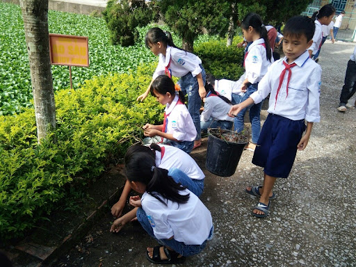 Hoạt động ngoài giờ