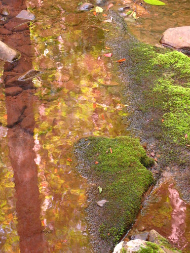 Falls Hollow