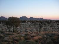 Free Image Hosting at www.ImageShack.us