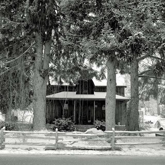 Wood House