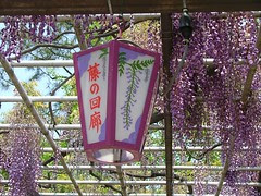 DSCF7897.JPG