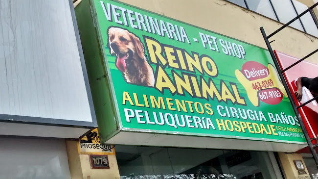 Comentarios y opiniones de Veterinaria - Pet Shop Reino Animal Jesús Maria
