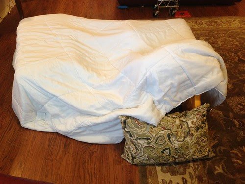 photo-3