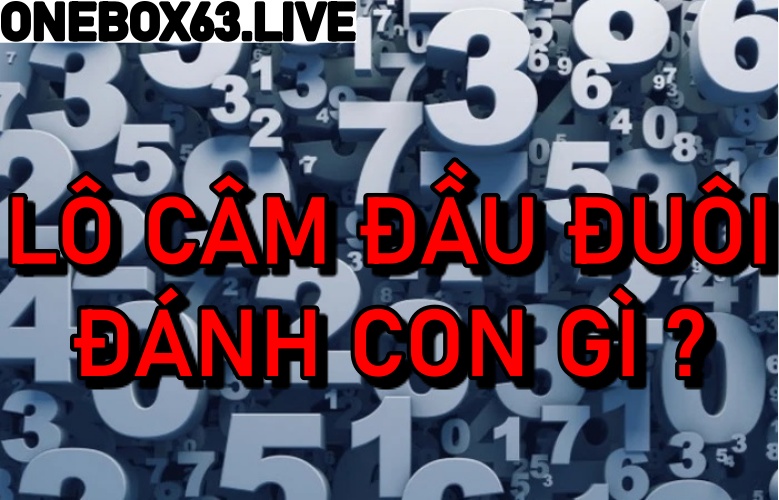  Khái niệm lô câm, lô đầu câm, lô đuôi câm, phương pháp đánh lô câm, lô câm là gì