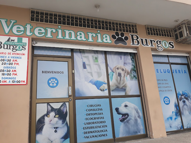 Veterinaria Burgos - Guayaquil