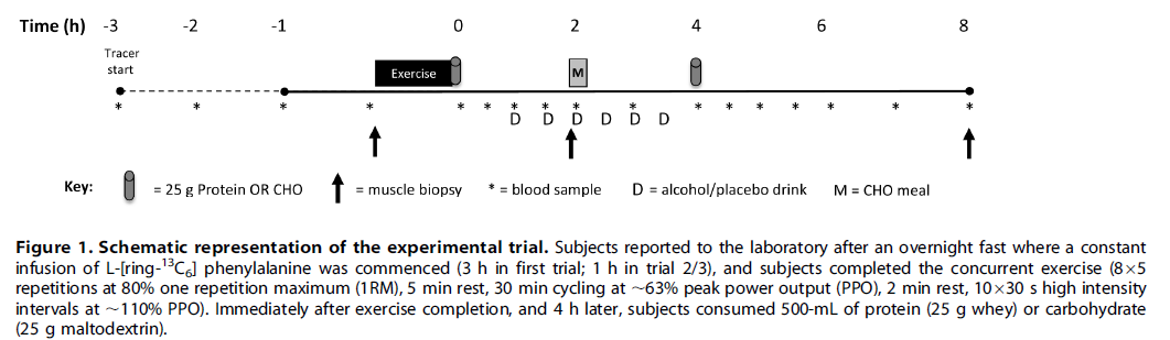 Gráfico

Descripción generada automáticamente