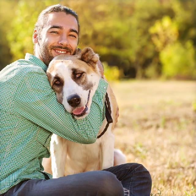 Cachorro humano – Conheça similaridades e laços entre cães e ...